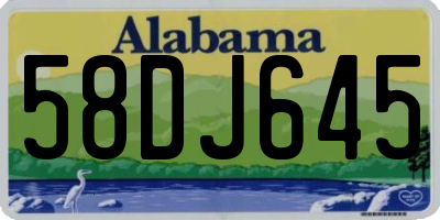 AL license plate 58DJ645
