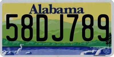 AL license plate 58DJ789
