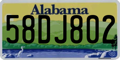 AL license plate 58DJ802
