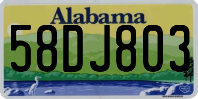 AL license plate 58DJ803