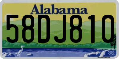 AL license plate 58DJ810