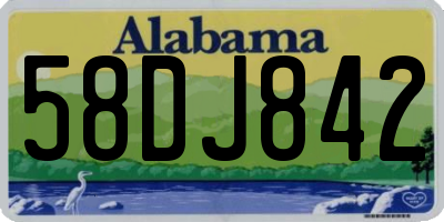 AL license plate 58DJ842