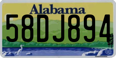 AL license plate 58DJ894
