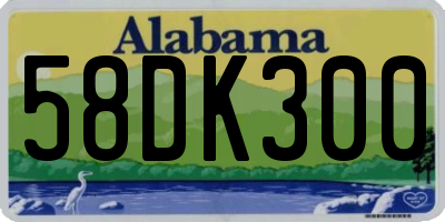 AL license plate 58DK300