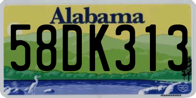 AL license plate 58DK313