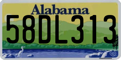 AL license plate 58DL313