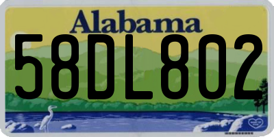 AL license plate 58DL802