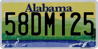 AL license plate 58DM125
