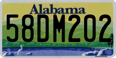 AL license plate 58DM202