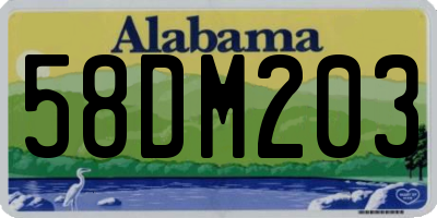 AL license plate 58DM203