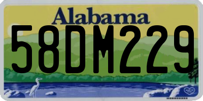 AL license plate 58DM229