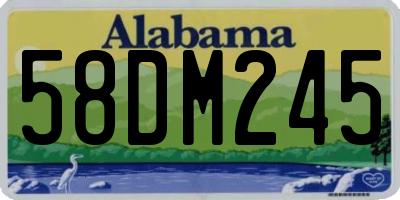 AL license plate 58DM245