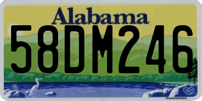 AL license plate 58DM246