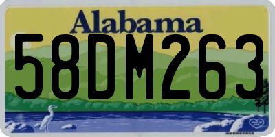 AL license plate 58DM263