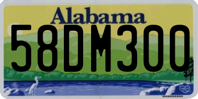AL license plate 58DM300