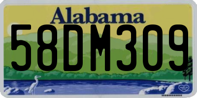 AL license plate 58DM309