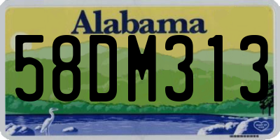 AL license plate 58DM313