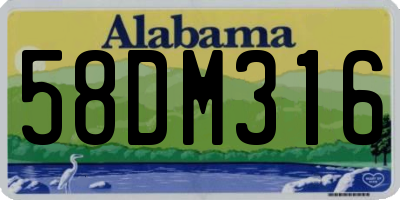 AL license plate 58DM316
