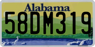 AL license plate 58DM319
