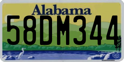AL license plate 58DM344