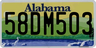 AL license plate 58DM503