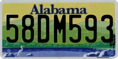 AL license plate 58DM593
