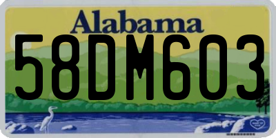 AL license plate 58DM603