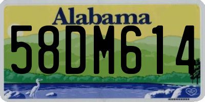 AL license plate 58DM614