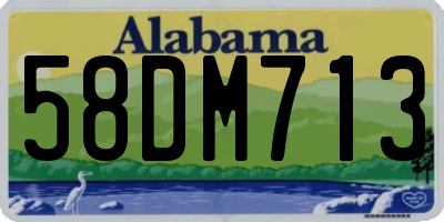 AL license plate 58DM713