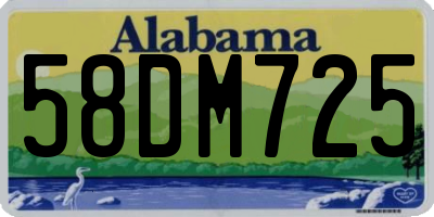 AL license plate 58DM725