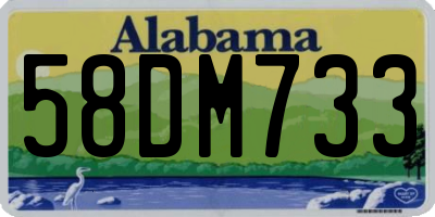 AL license plate 58DM733
