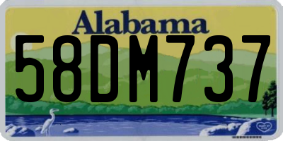 AL license plate 58DM737