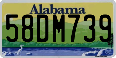 AL license plate 58DM739