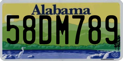 AL license plate 58DM789