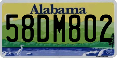 AL license plate 58DM802