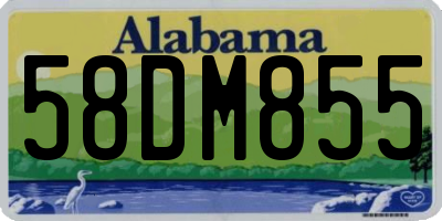 AL license plate 58DM855
