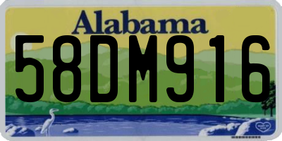 AL license plate 58DM916
