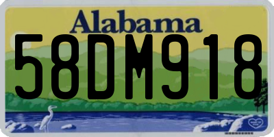 AL license plate 58DM918
