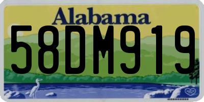 AL license plate 58DM919