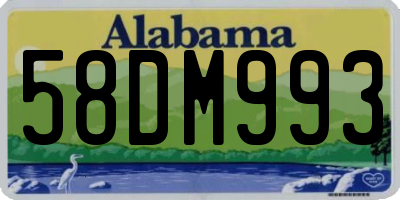 AL license plate 58DM993