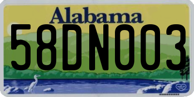 AL license plate 58DN003