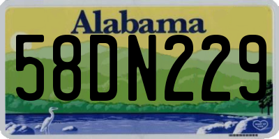 AL license plate 58DN229