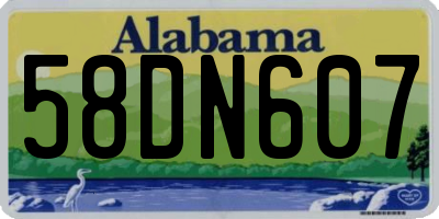 AL license plate 58DN607