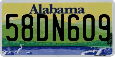 AL license plate 58DN609