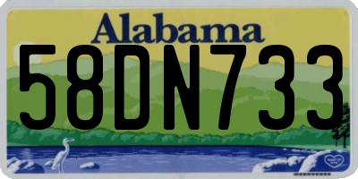 AL license plate 58DN733