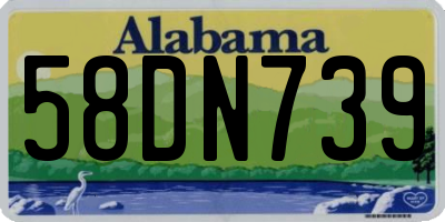 AL license plate 58DN739