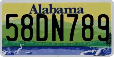 AL license plate 58DN789