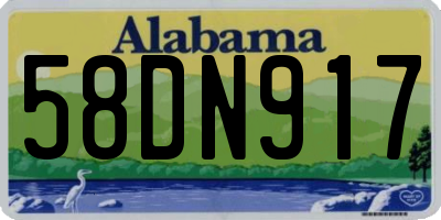 AL license plate 58DN917
