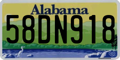 AL license plate 58DN918