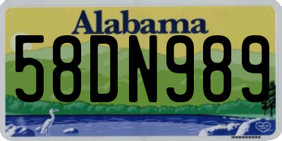 AL license plate 58DN989